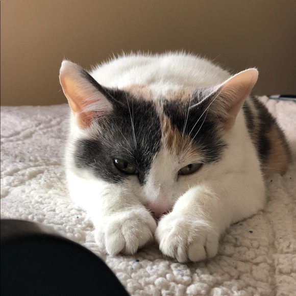 β’ meet the assistants β’ - Picture 8 of 15